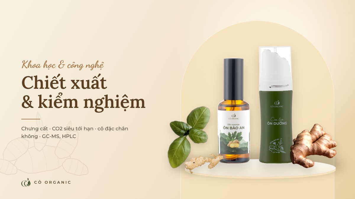 Tinh dầu được chiết xuất và kiểm nghiệm như thế nào?