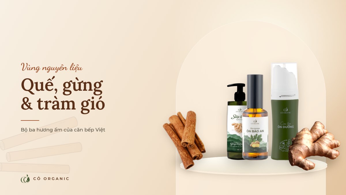 Quế, gừng, tràm gió – bộ ba hương ấm của người Việt