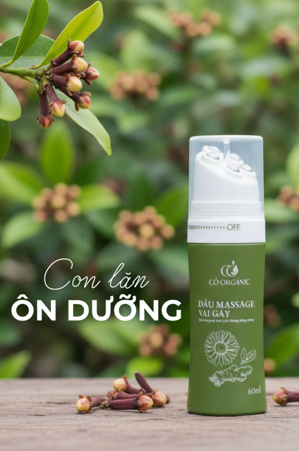 Gừng Quảng trị - Cỏ Organic - Con lăn Ôn Dưỡng
