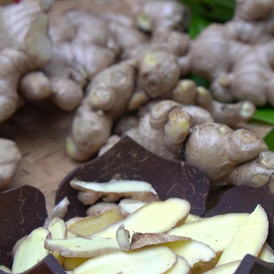 Cỏ Organic - Âm dương cân bằng trong thảo dược